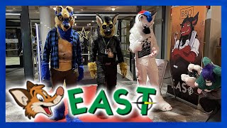 VERSTEIGERUNG von Furries | So war die EAST10