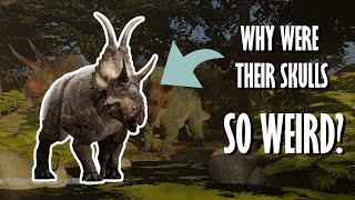 Everything you need to know about: Ceratopsians