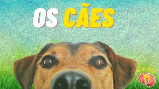 Os Cães.