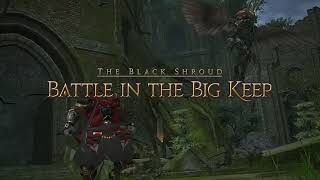 Battle in the Big Keep - Normal Trial - FFXIV