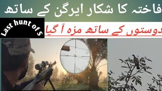 Dove Hunting In Pakistan | Fakhta ka Shikar |Artemis P15 PCP |#pcp##tour8574 4hunters  Gill HUNTERS.