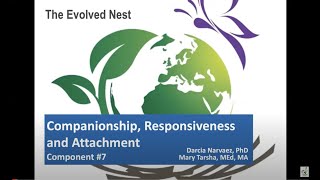 Evolved Nest Explained: Companionship, Responsiveness, Attachment