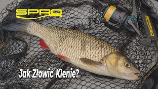 Jak Złowić Klenia - Wiosenny Ultralight // Łowienie na Wodzie Stojącej