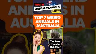 Fascinating Facts About Wombats #animalwonders