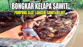 BONGKAR KELAPA SAWIT I #langsir  KELAPA #sawit  MENGGUNAKAN POMPONG #kelapasawit #buahsawit #panen