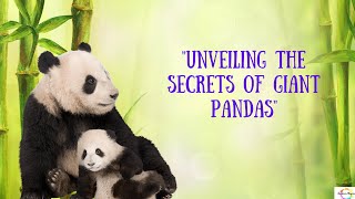 "Unveiling the Secrets of Giant Pandas" #sciencefacts #science #weirdanimals #weirdanimalfacts