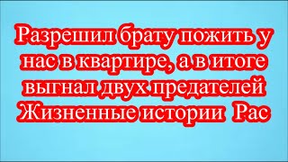 Разрешил брату пожить у нас в квартире, а в итоге выгнал двух предателей  Жизненные истории  Рас