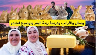 وصال والأرانب وكريمة زبدة البقر وتوضيح لعابدو #وصال