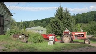 Bovina Valley Farms - Bovina Open Barn & Studio