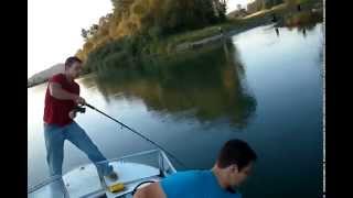 My friend chasing aggressive pink salmon! Really funny!