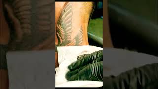 #simmu #tattoo #studio #kukurmara #bird #birds #birdslover #birdwatching #viralshort #viralvideo