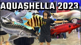 AQUASHELLA Daytona 2023!! (BUYING MONSTER FISH)