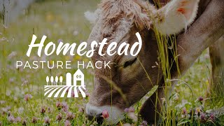 Homestead Pasture Hack