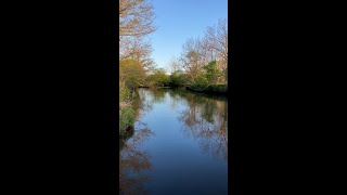 Healing Mountain Stream_hokaido〜癒しの渓流〜