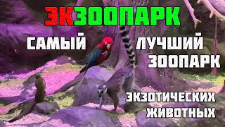 Самый лучший зоопарк экзотических животных в Санкт-Петербурге 4К-best quality