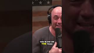 The Best Of Joe Rogan #9