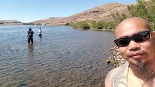 Camping Along Snake River