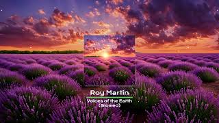 Roy Martin - Ananda Vani - Slowed