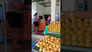 Thailand food market in Phuket / endless coconuts