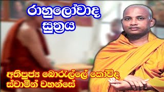 රාහුලෝවාද සුත්‍රය l Ven.Borelle Kovida Thero l Sadhdharma Yathra 2021 l Dharma Deshana