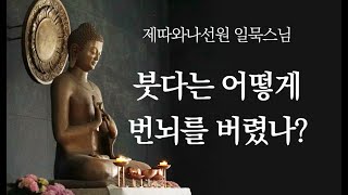 붓다는 어떻게 번뇌를 버렸나?ㅣ일묵스님ㅣ제따와나선원 정기법회 2024.07.17