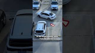 Have you learned how to reverse into a parking space?#driving #skills #tips #knowledge #fpy