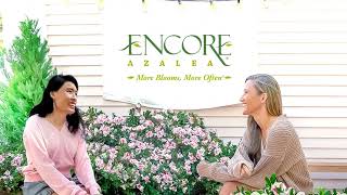 Press Play on Vibrant Garden Color with Encore Azaleas