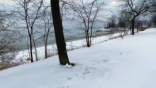 Walk in Snow at Brimley beach