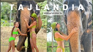 TAJLANDIA 🇹🇭 Sanktuarium słoni 🐘 Phuket Elephant Care