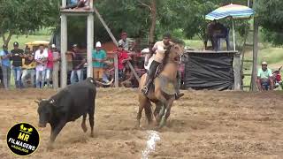 Disputa Categoria Profissional Parque M3A