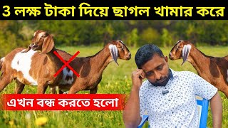 তিন লক্ষ টাকা দিয়ে ছাগল খামার করে এখন বন্ধ করতে হলো। এমন কি হলো ?.