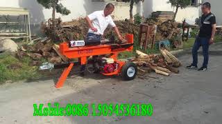 professional hydraulic log splitter