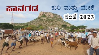 Pavagada sheep and goats market 2023