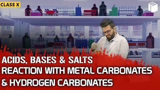 Reaction with Metal-Carbonates and Hydrogen-Carbonates | Chapter 2 | Class 10 | PuStack