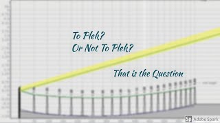 To Plek? Or Not To Plek? that Is the Question | DIY CNC Fret tuning