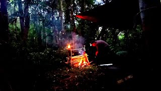 EXPLORANDO O TOPO DA MONTANHA  Dormindo na Selva  EP 1/2