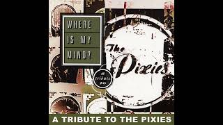 The Pixies-Where is my mind (HIP HOP)