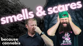 smells & scares - because cannabis episode #31