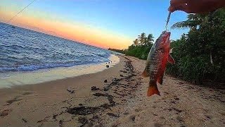 FISHING KUNG SAAN-SAAN| NEPO2