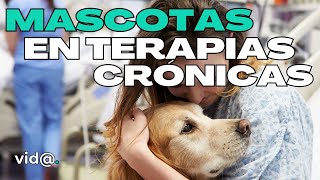 Terapia con Animales: Cómo Transforman Vidas #VidaTV #TerapiaConAnimales #TerapiaAsistida