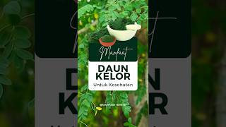 Manfaat Daun Kelor Untuk Kesehatan #shorts #manfaat #daun #kelor #untuk #kesehatan