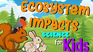 Ecosystem Impacts | Science for Kids