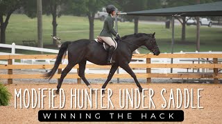 First Impression winning Modified Hunter Under Saddle at Wills Park Equestrian Federation Benefit