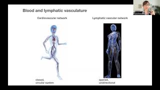 SPP Zürich 2021: Kaśka Koltowska – 'Orchestrating lymphatic endothelial cell migration'