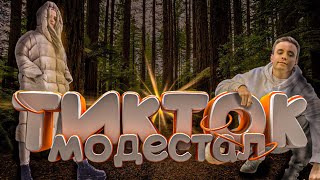 "MODESTAL" ЛУЧШАЯ Tik Tok Подборка Мемов #2