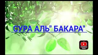 Чудо Сура "АЛЬ-БАКАРА" (СУРА КОРОВА) ОТ СГЛАЗА,ОТ ПОРЧИ, ДЛЯ ОЧИЩЕНИЯ ДОМА