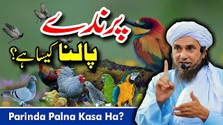 Parinda 🦜🐓 Palna Kasa Ha? | Mufti Tariq Masood