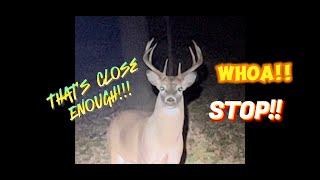 CRAZY RUTTING IOWA BUCK GETS TOO CLOSE FOR COMFORT!!!