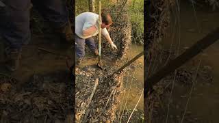 Runoff ditch cleared! #homestead #homesteading #farm #farming #offgrid #cattle #farmlife #farmer