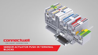 CP Series PUSH-IN Sensor & Actuator Terminal Blocks | Connectwell